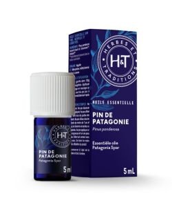 PIN DE PATAGONIE (Aiguille) Pinus ponderosa, 5&nbsp;ml